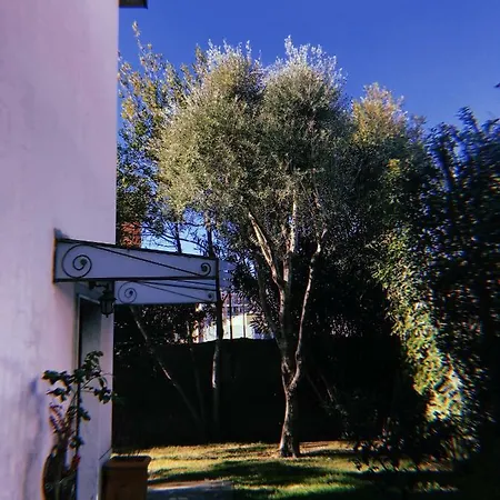 La Casa Dei Fiori Appartamento La Spezia